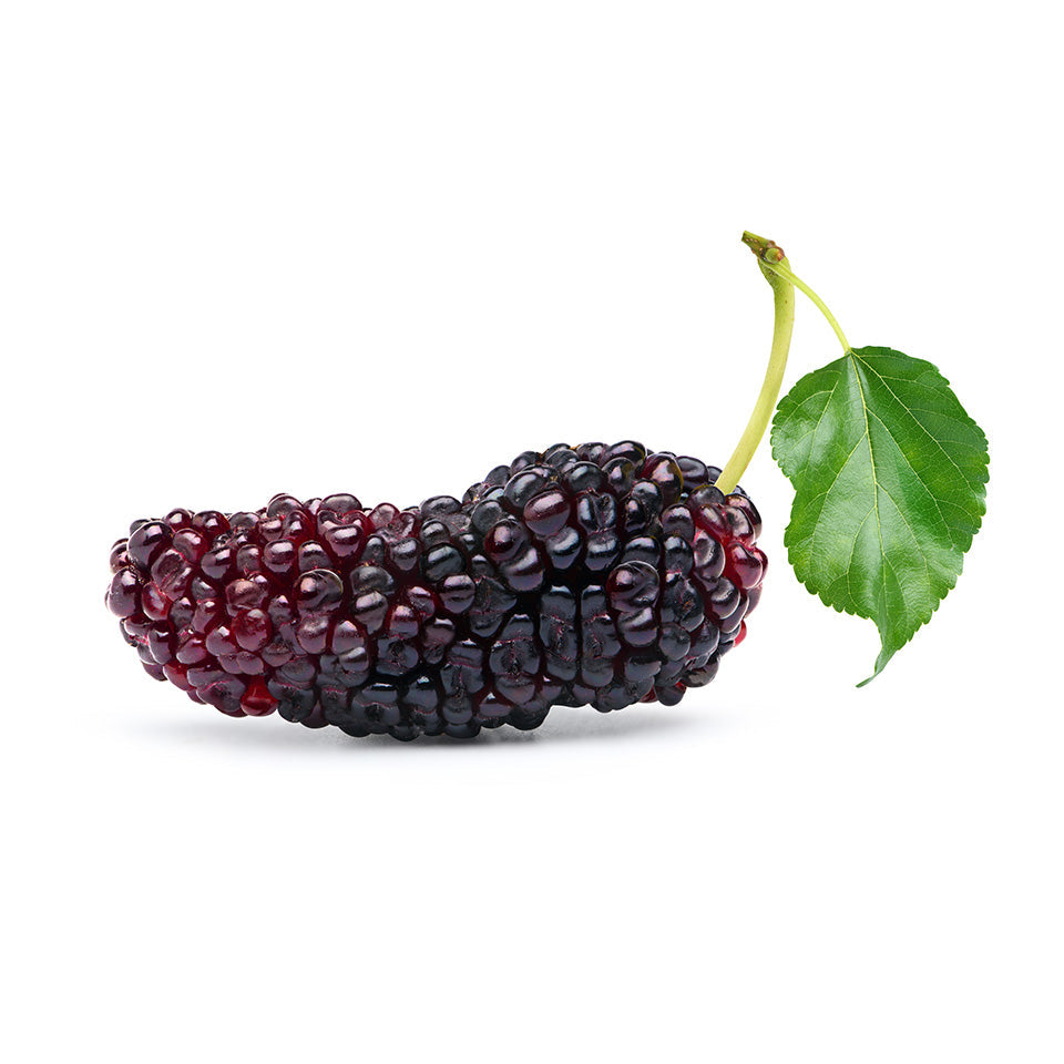 Black Mulberries