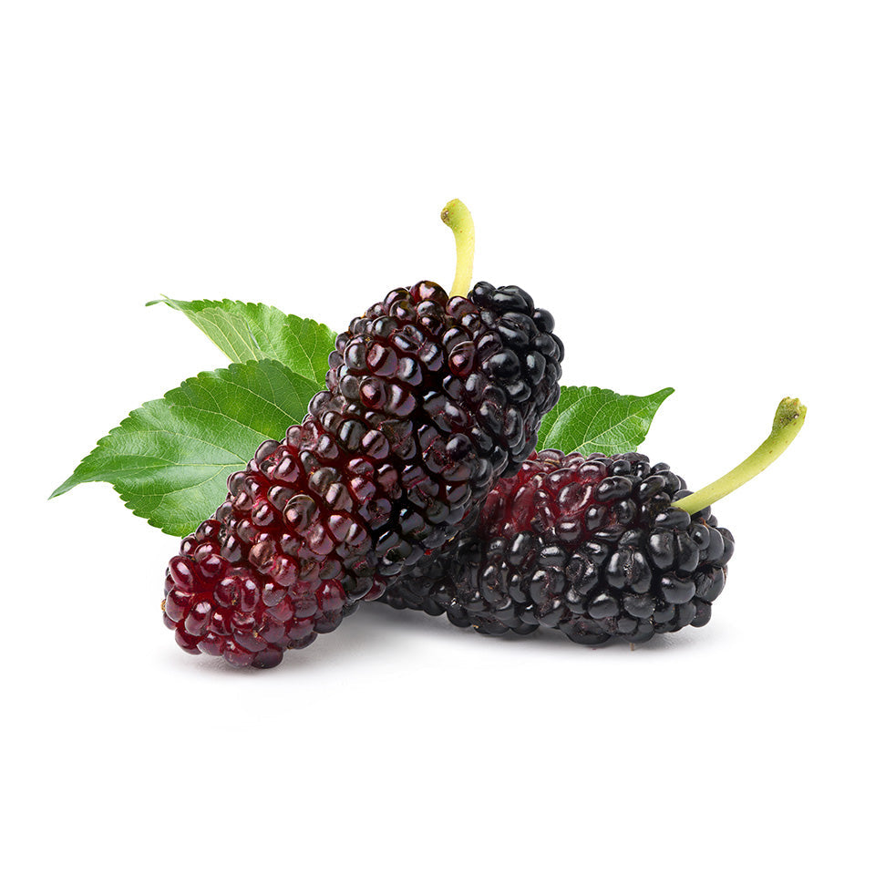 Black Mulberries