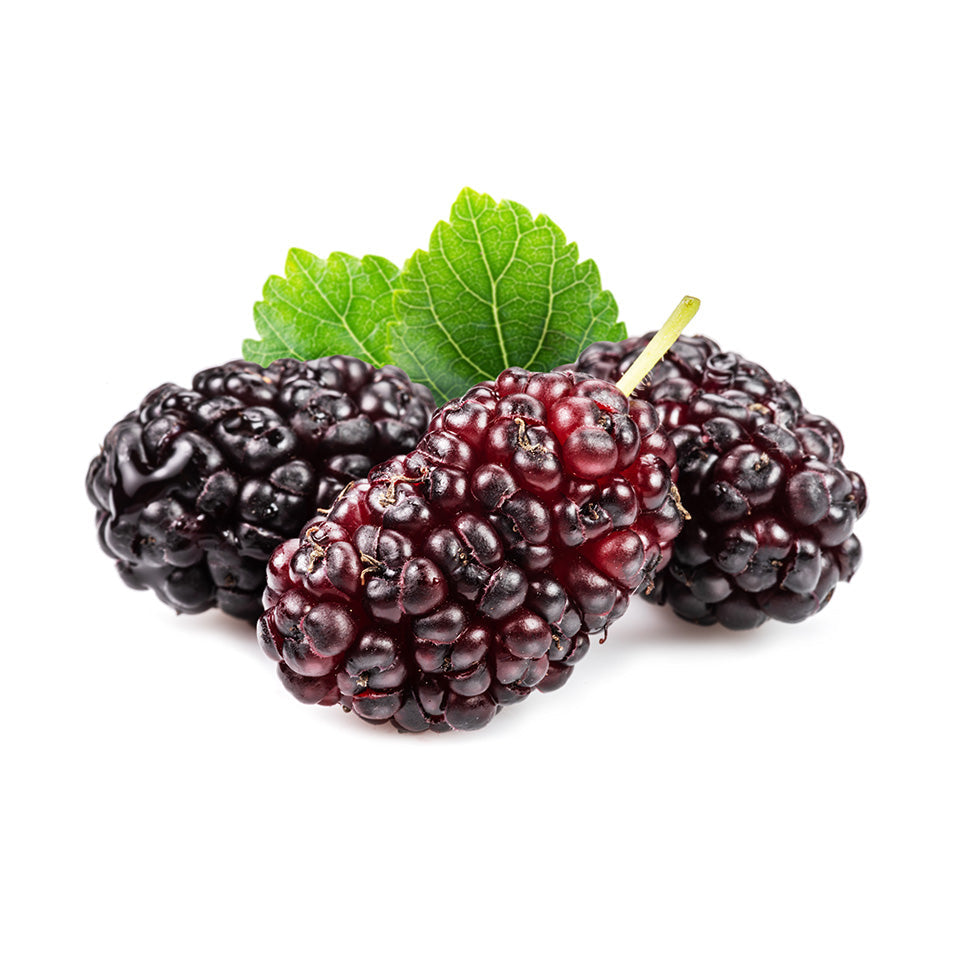 Black Mulberries