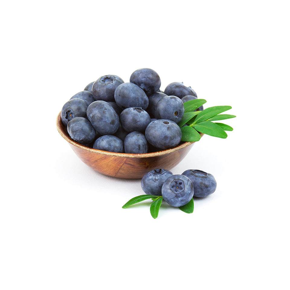 American Blueberries