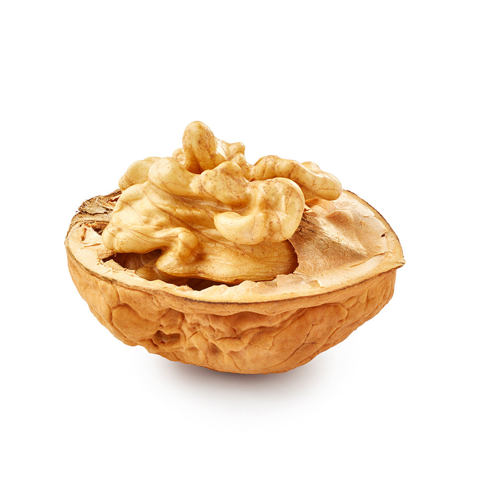 Raw Walnut Kernels
