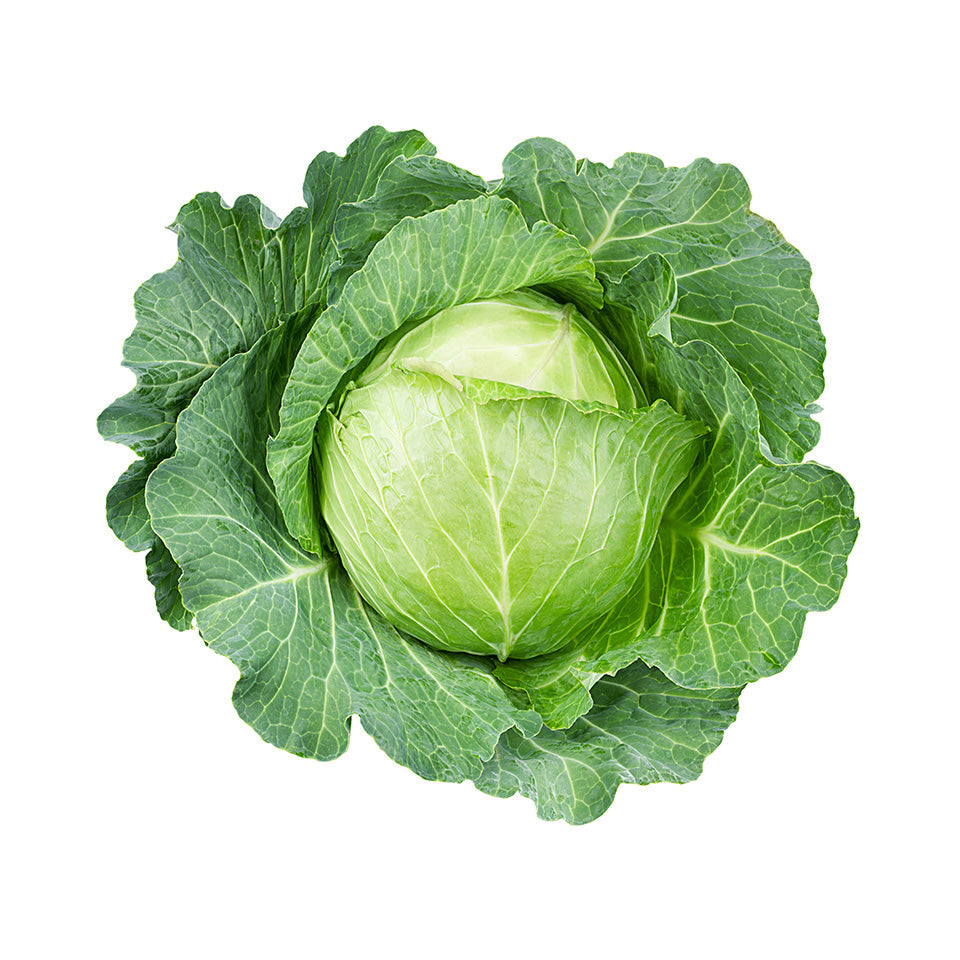 Green Cabbage