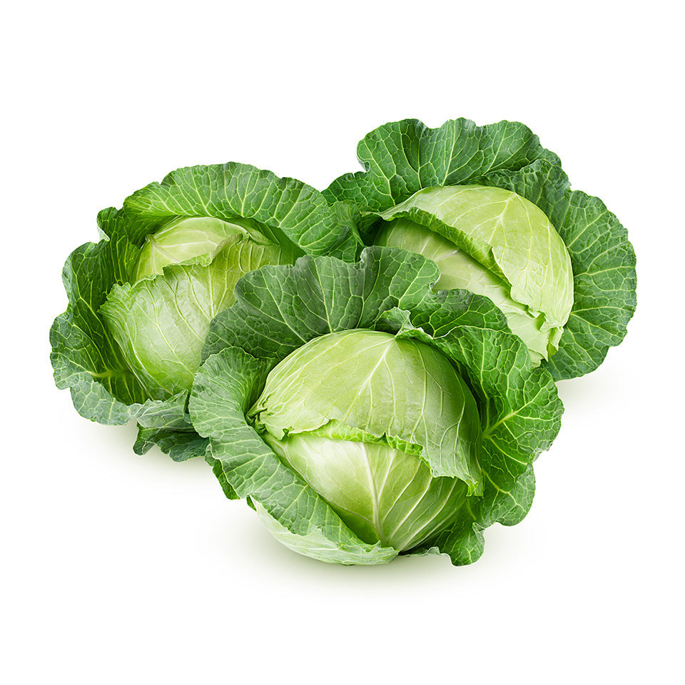 Green Cabbage