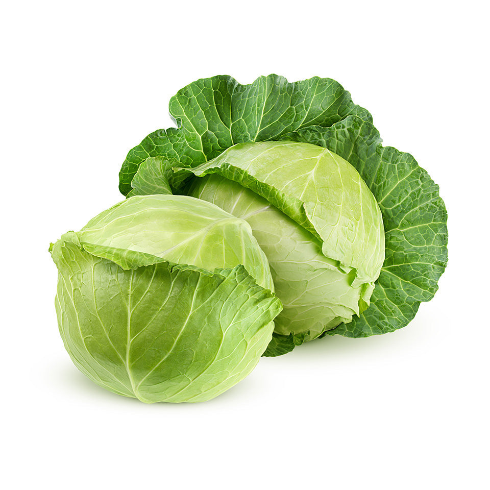 Green Cabbage