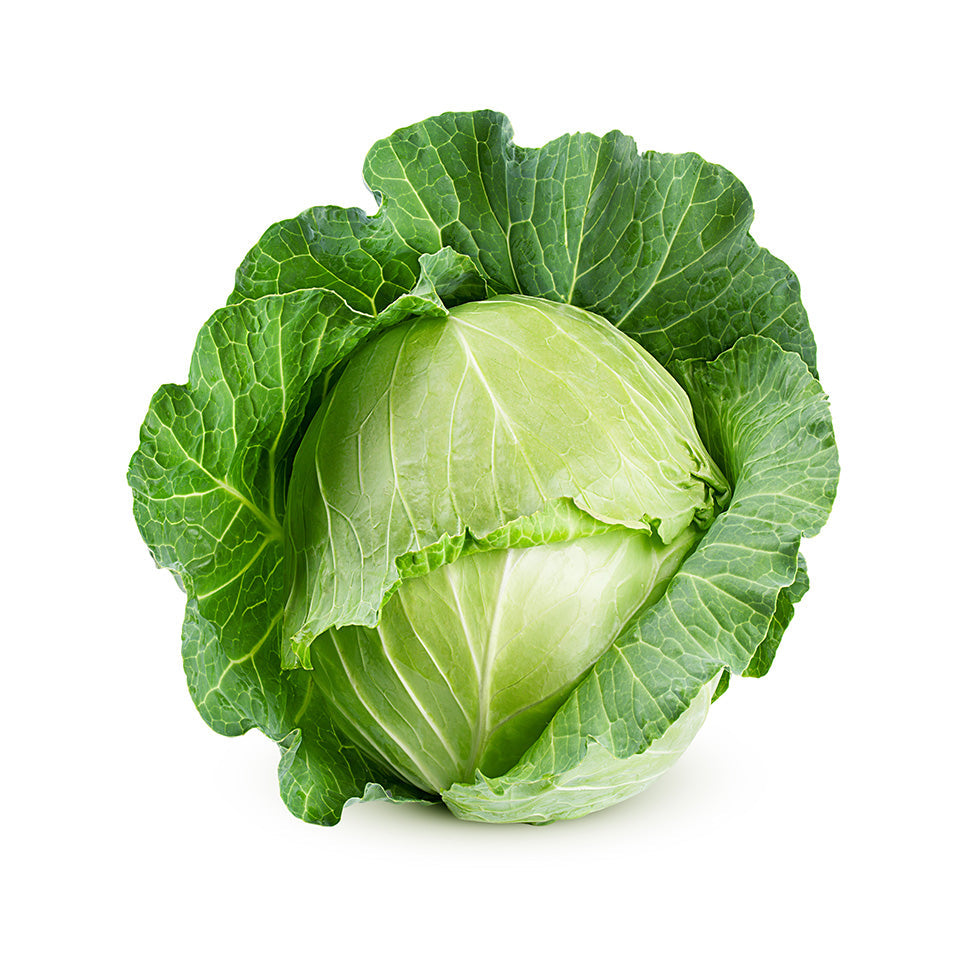 Green Cabbage