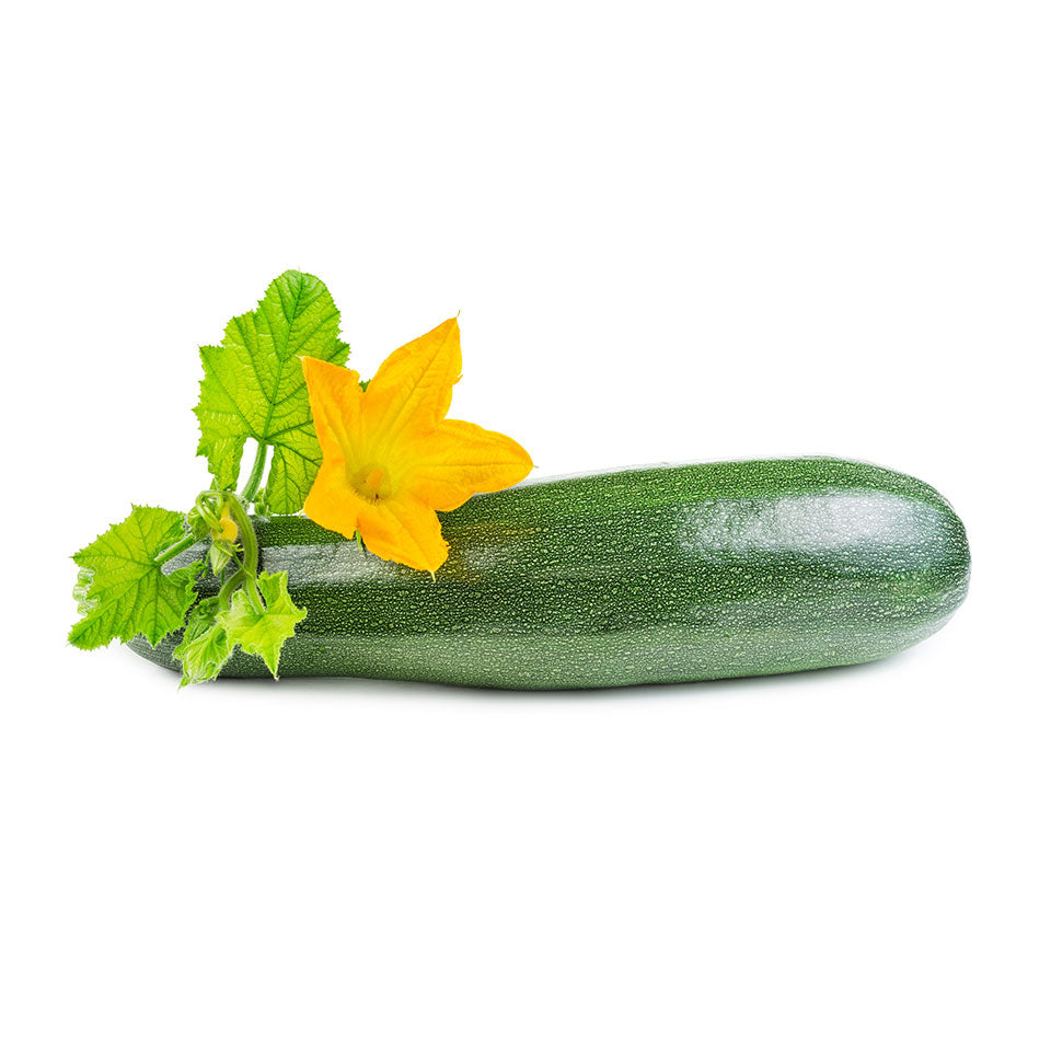 Fresh Zucchini