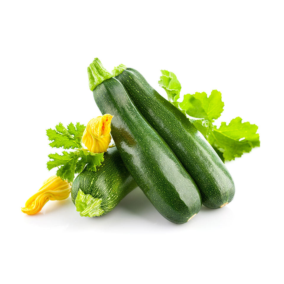 Fresh Zucchini